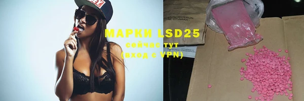 гидра Киреевск